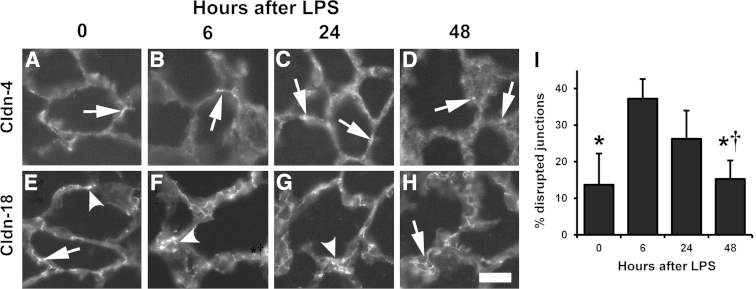 Figure 10