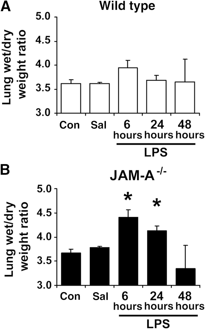 Figure 7