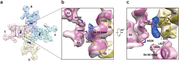 Fig. 7