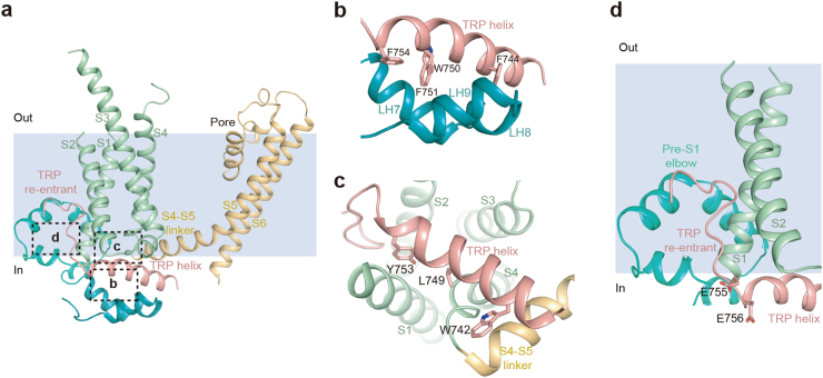 Fig. 6