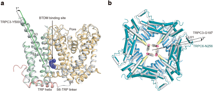 Fig. 8