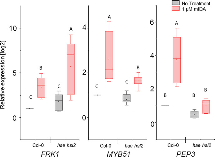 Figure 5—figure supplement 1.