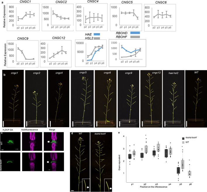 Figure 2—figure supplement 4.