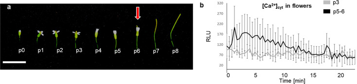 Figure 2—figure supplement 1.