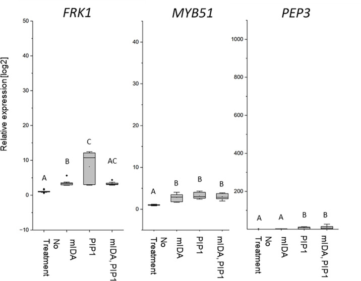 Figure 6—figure supplement 1.