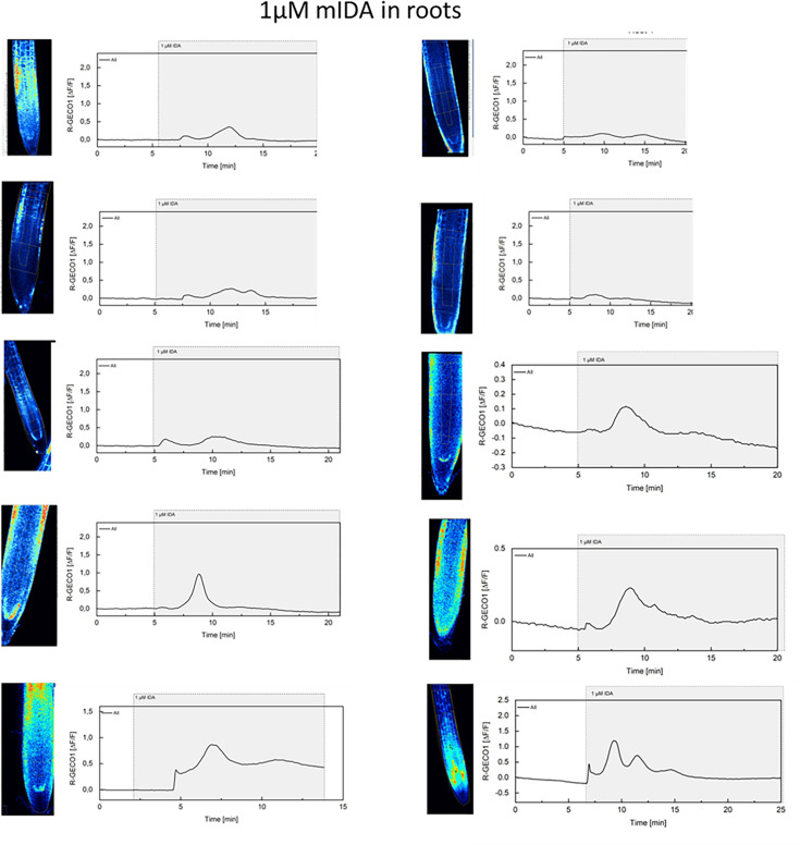 Figure 1—figure supplement 2.