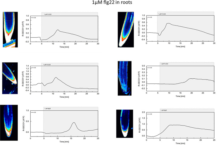 Figure 1—figure supplement 3.