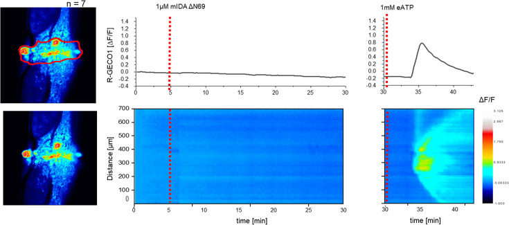 Figure 2—figure supplement 3.