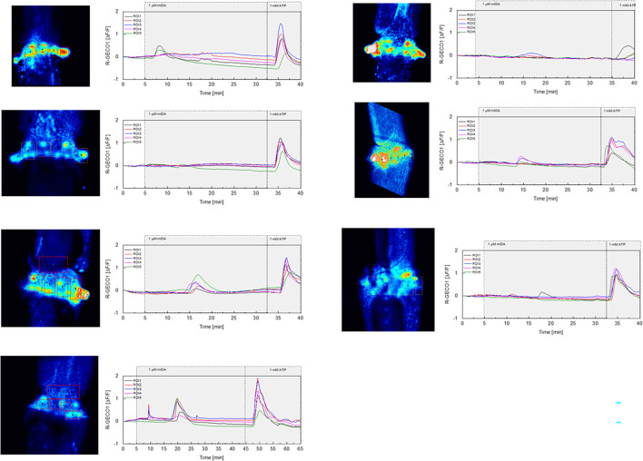 Figure 2—figure supplement 2.