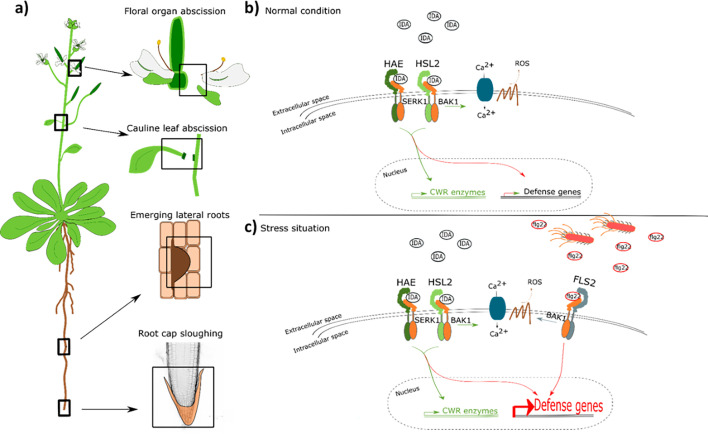 Figure 7.