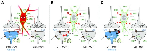 Figure 6.