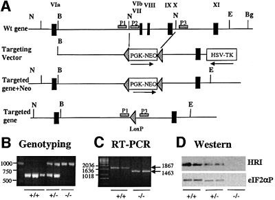 graphic file with name cde652f1.jpg