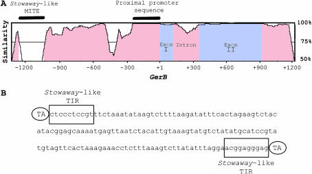 Figure 2.—