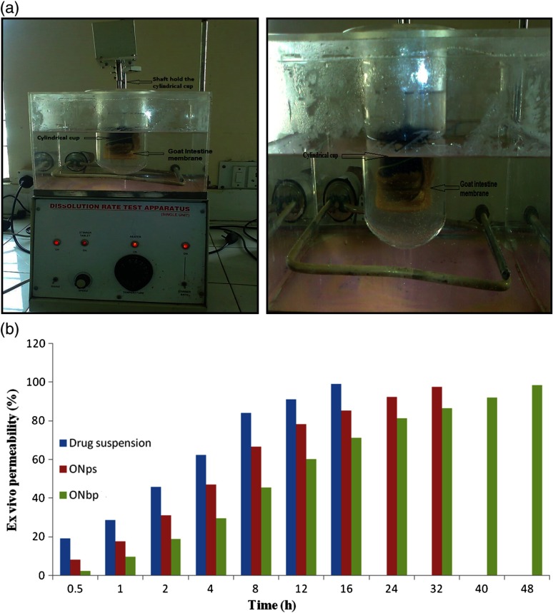 Fig. 2.