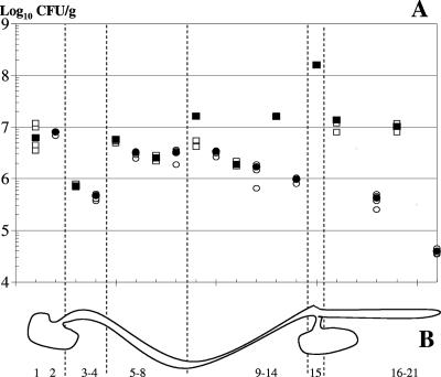 FIG. 5.