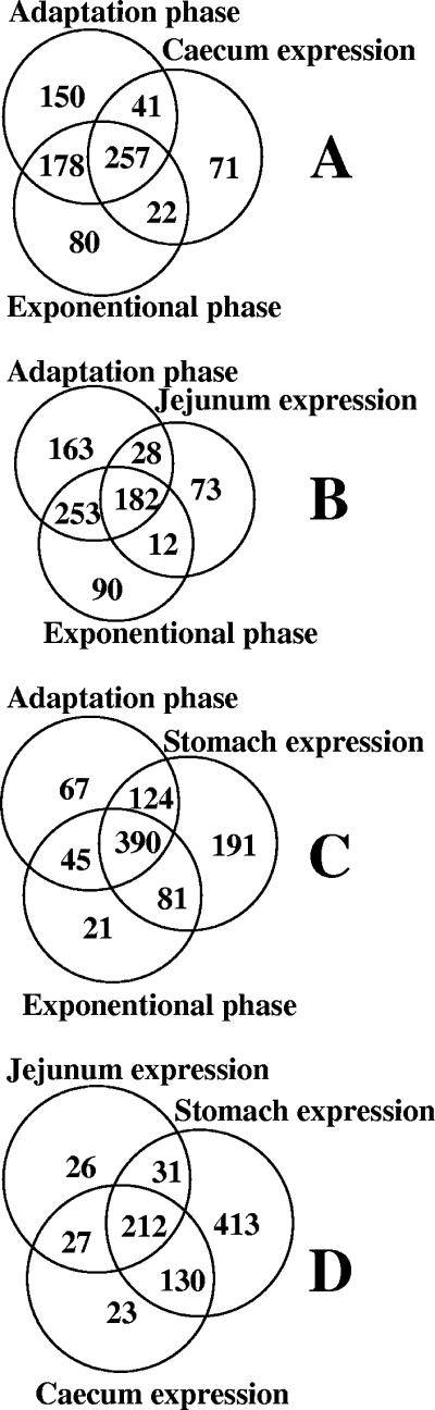 FIG. 7.