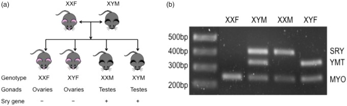 Figure 1.