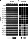 FIG 5