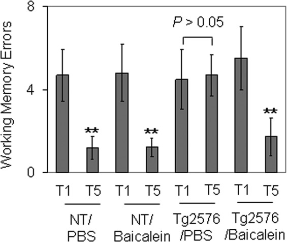 Fig 5