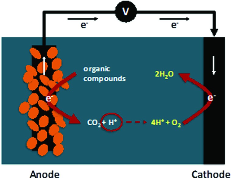 Scheme 1.