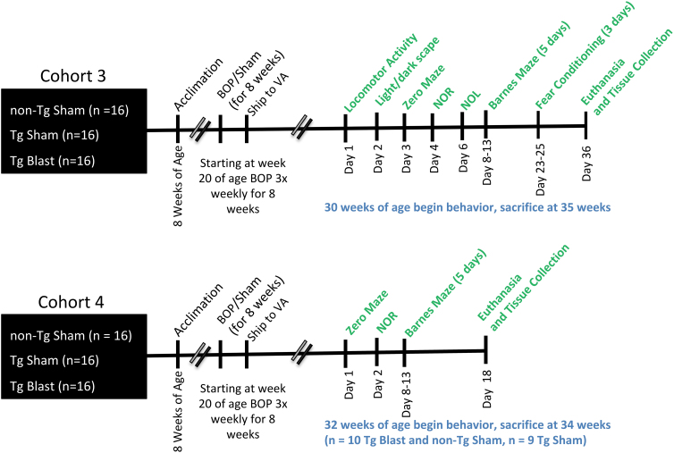 FIG. 10.