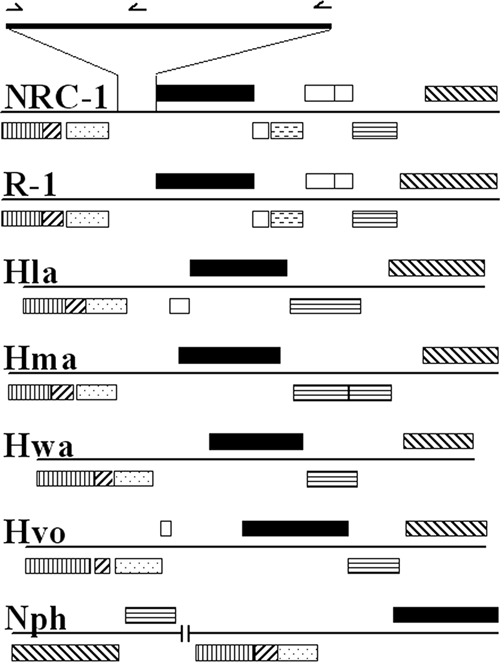 FIG. 5.