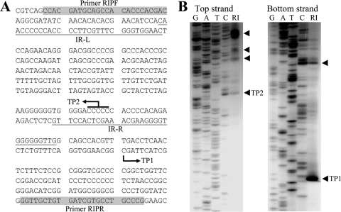 FIG. 3.