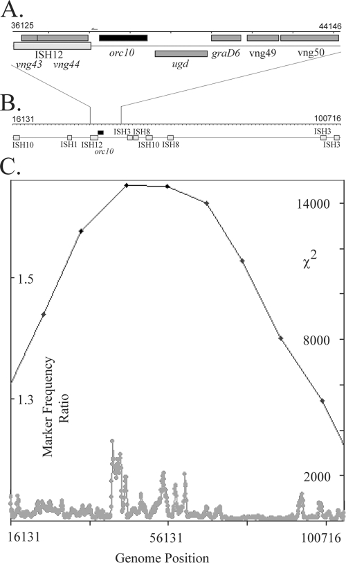 FIG. 6.