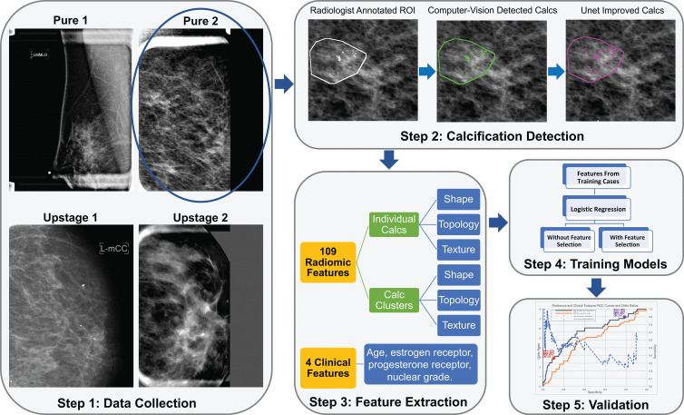 Illustration of the study pipeline (step 1). A total of 700 women were identified (step 2). Lesion annotations were masked by a breast radiologist, and calcifications (calcs) were masked by a computer vision–based algorithm and a deep learning–based U-net segmentation network (step 3). A total of 109 radiomic features and four clinical features were collected (step 4). Models with those extracted features and training data were trained (step 5). Selected models were validated on test data. NPV = negative predictive value, OR = odds ratio, PPV = positive predictive value, ROC = receiver operating characteristic, ROI = region of interest, sens = sensitivity, spec = specificity.