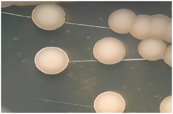 Figure 4.