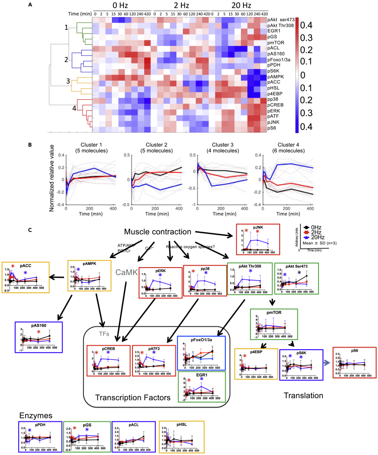 Figure 4