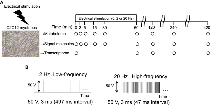 Figure 1