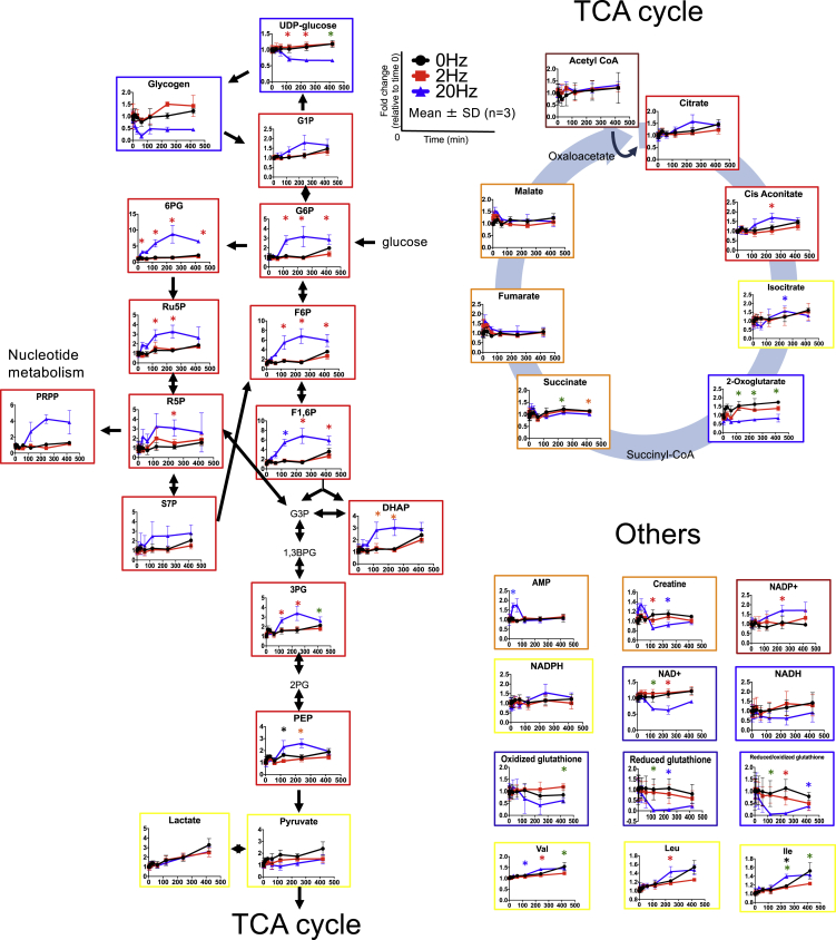 Figure 3