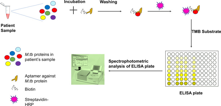 Figure 4