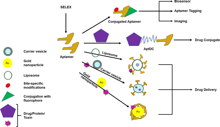 Figure 3