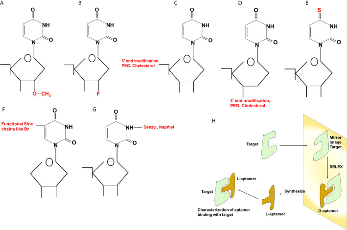 Figure 2