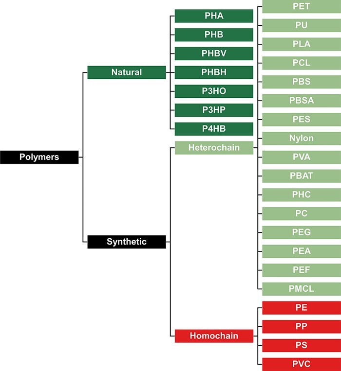 Figure 2.