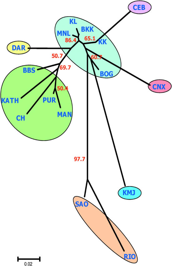 Figure 3.—