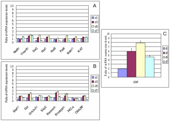 Figure 6