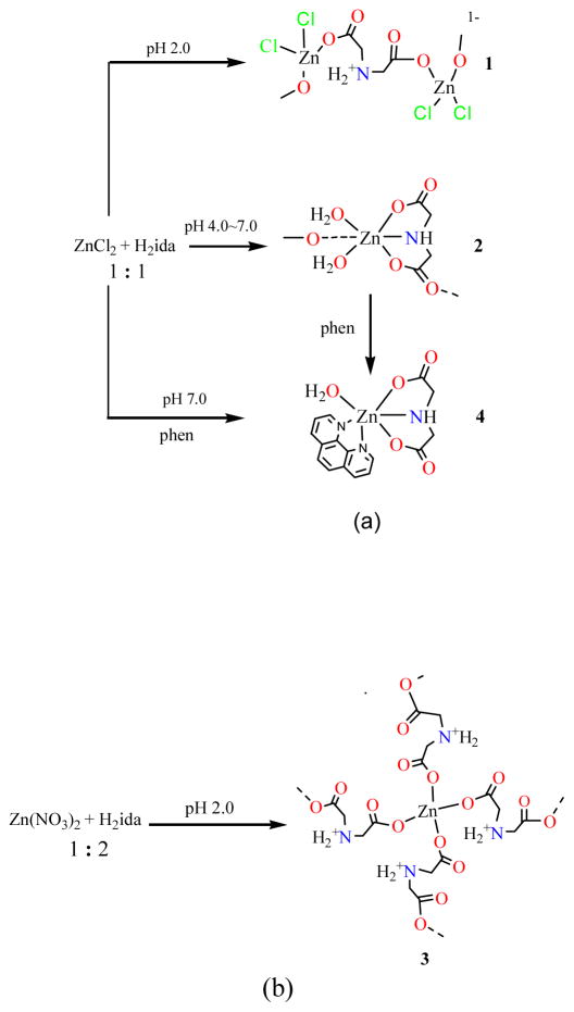 Scheme 1