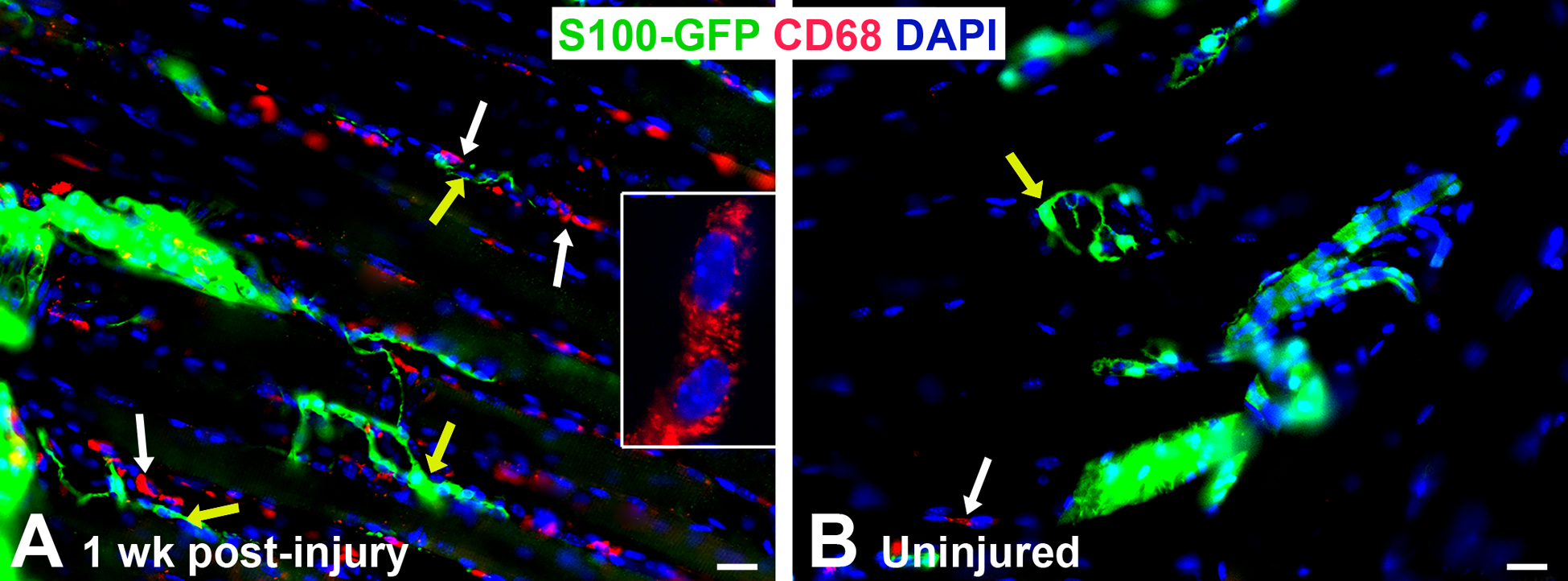 Figure 2.