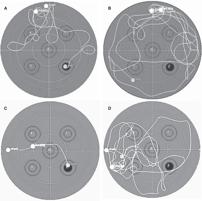 Figure 2.