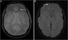 <b>FIG. 1.</b>