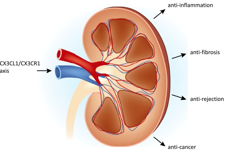 Fig. (2)