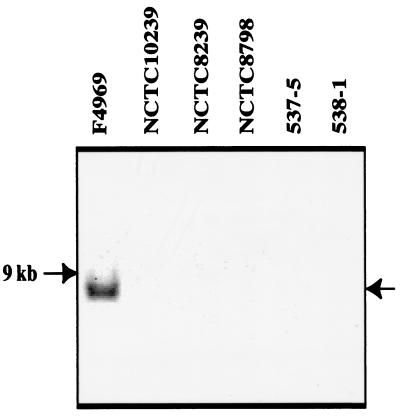 FIG. 5.