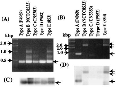 FIG. 6.