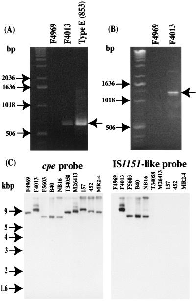 FIG. 8.