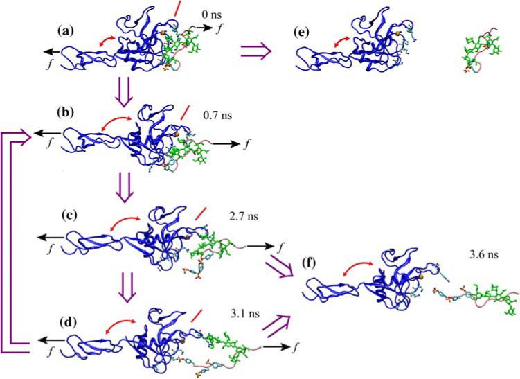 FIGURE 12