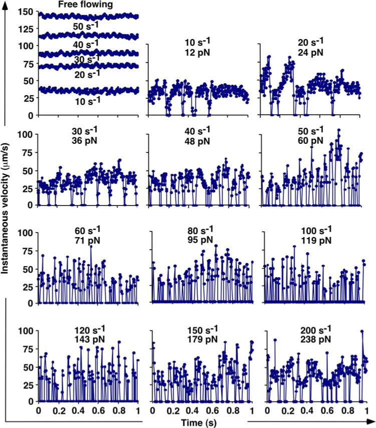 FIGURE 9