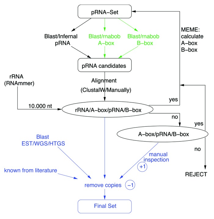 graphic file with name rna-11-3-g6.jpg